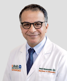 Dr. Hamid Hassanzadeh