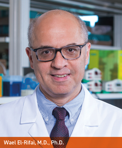 Wael El-Rifai, M.D., Ph.D.
