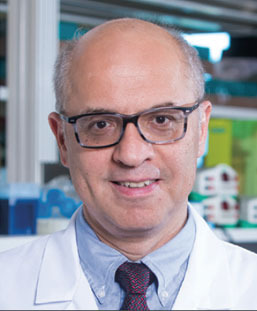 Wael El-Rifai, M.D., Ph.D.