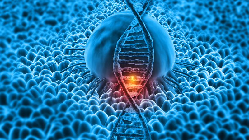 Antibody Therapy Multiple Myeloma