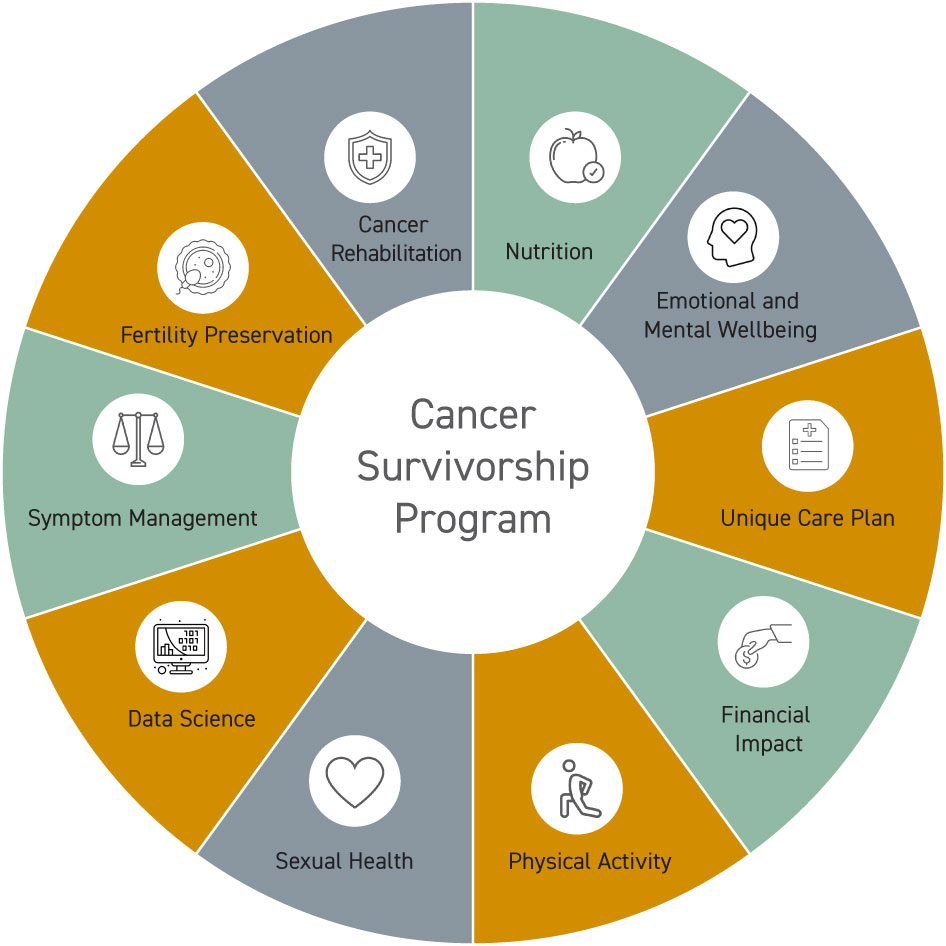 Survivorship Care Wheel