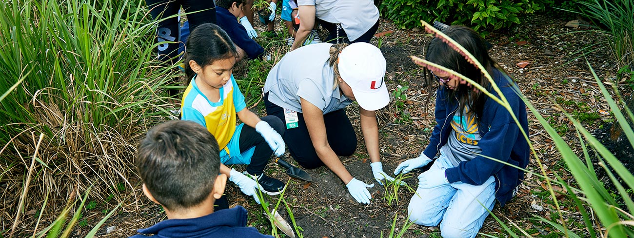 Orchard Planting Photo