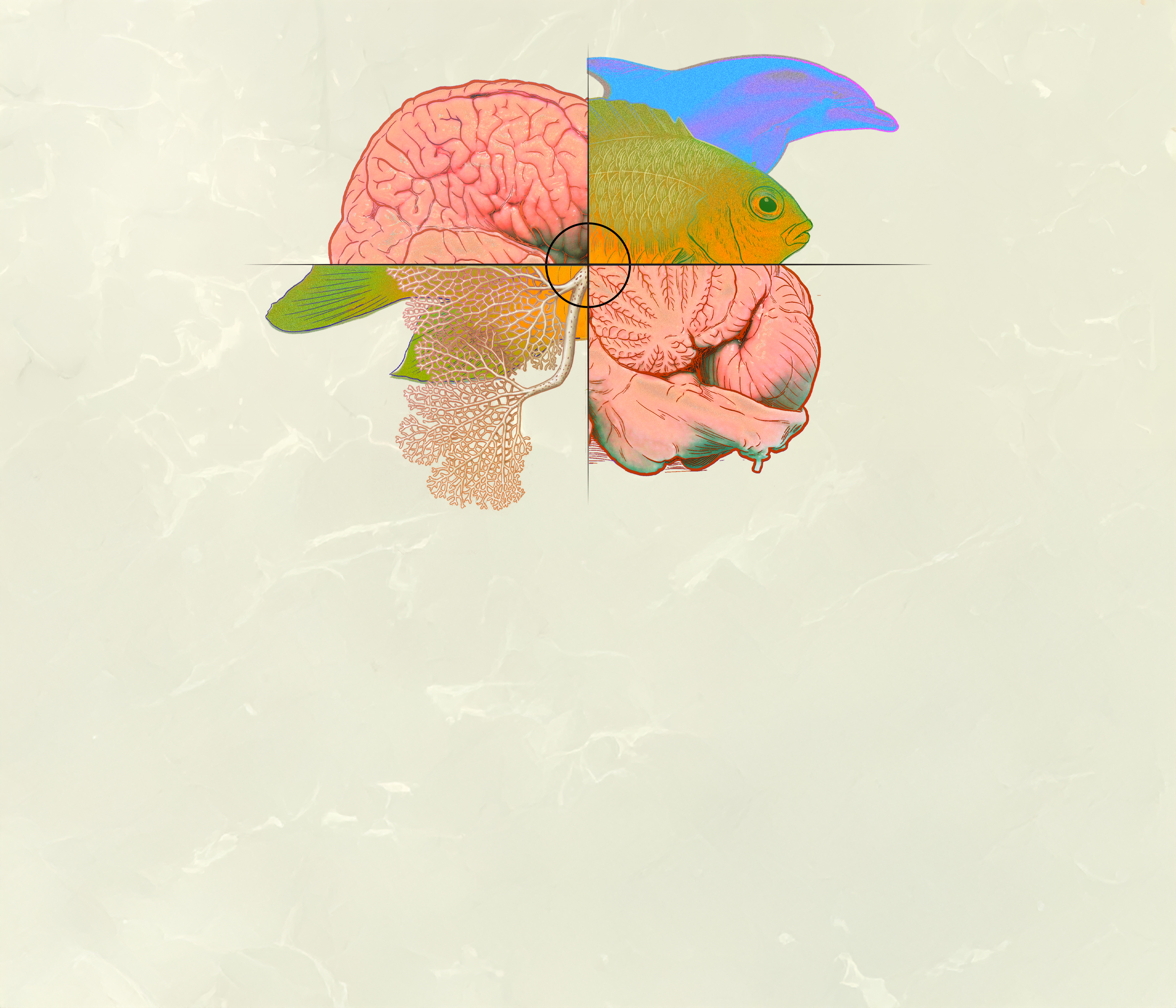 Brain and Fish Composite