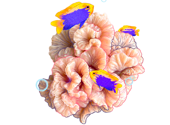 Sea creatures illustration