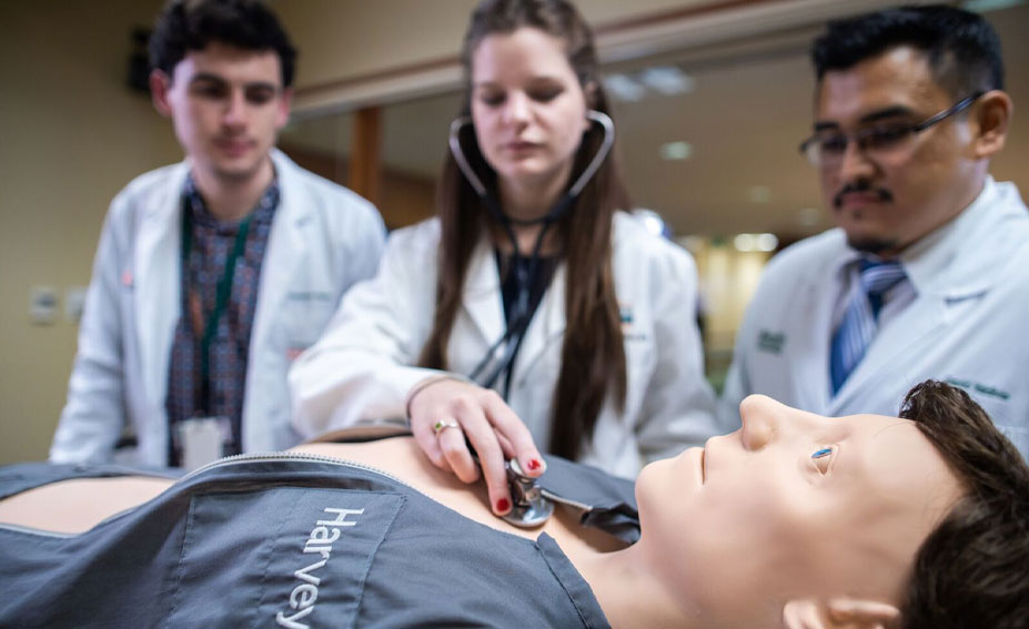 Medical students looking at Harvey which is a full-size simulation manikin