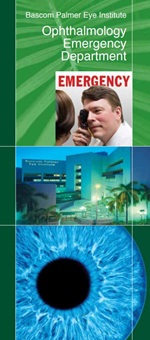 Globo ocular y edificio médico presentados en material promocional del Departamento de Emergencias de Oftalmología