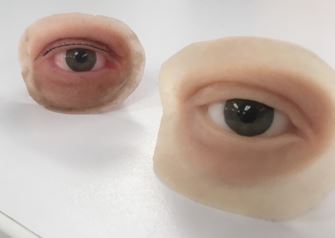 Orbital Vision Research