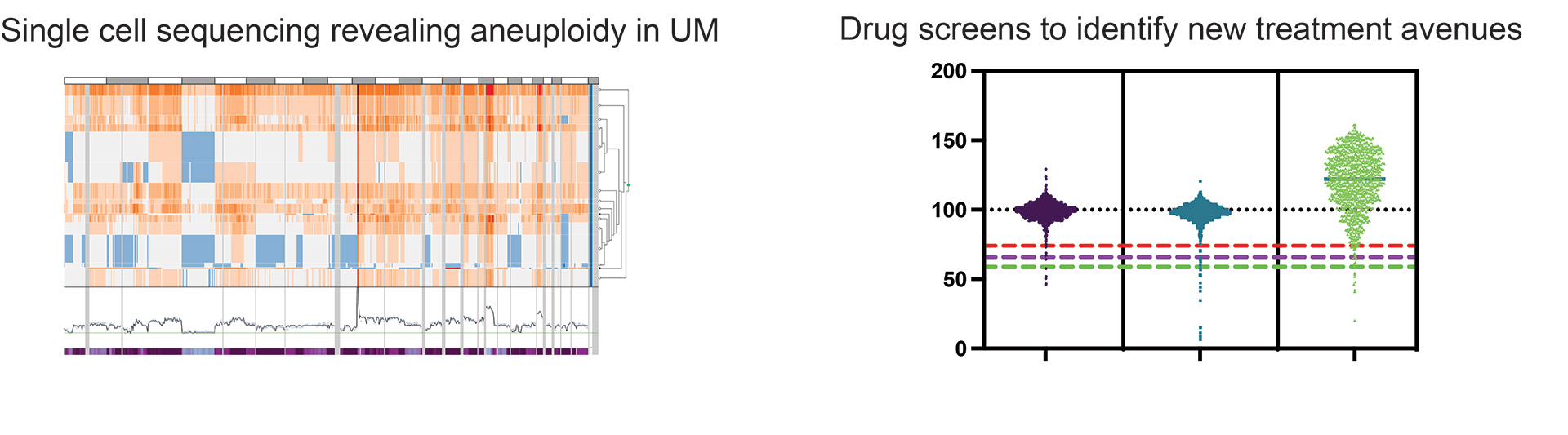 Single Cell Sequencing graphic