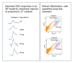 The role of innate immunity in retinal degeneration