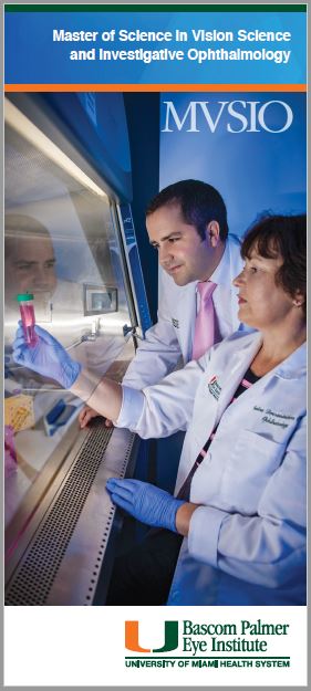MVSIO Brochure