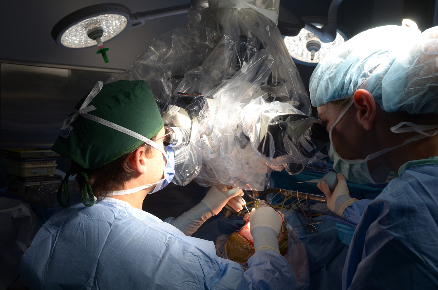 Artificial Intelligence Provides Game-Changing Intraoperative Brain Tumor  Diagnostics | Sylvester Comprehensive Cancer Center | University of Miami  Health System
