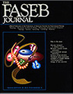Decorative Cover Image of Publication