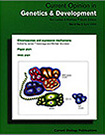 Decorative Cover Image of Publication