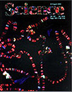 Decorative Cover Image of Publication