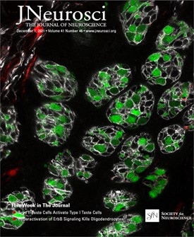 J Neurosci magazine cover