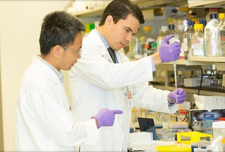 Two technicians with purple gloves work in a lab