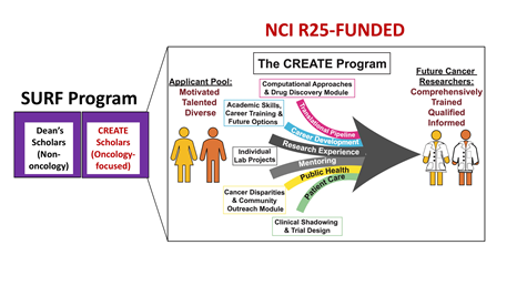 NCI R25 Funded CREATE Program Graphic