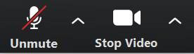 Unmute and stop video icon
