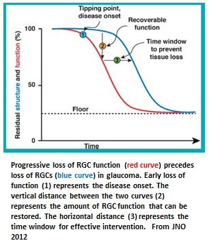 Progressive loss of RGC function
