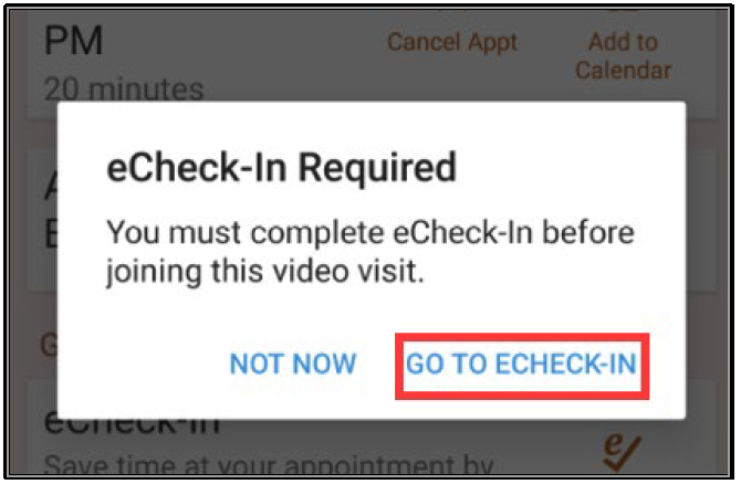 echeck-in required